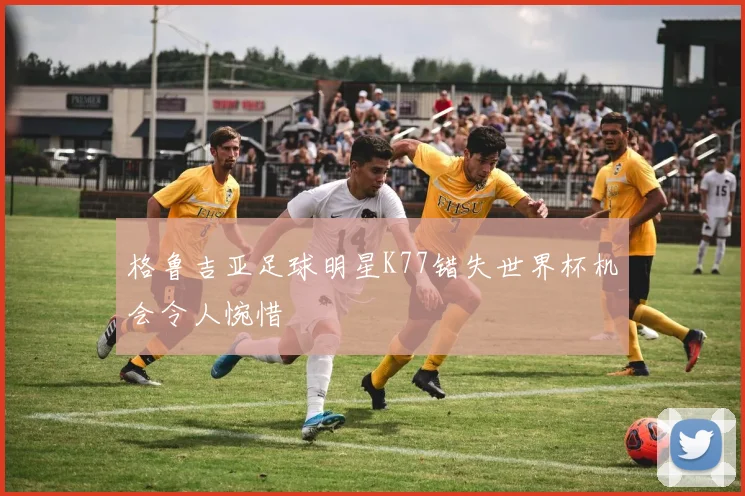 格鲁吉亚足球明星K77错失世界杯机会令人惋惜