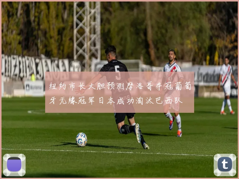纽约市长大胆预测摩洛哥夺冠葡萄牙无缘冠军日本成功淘汰巴西队